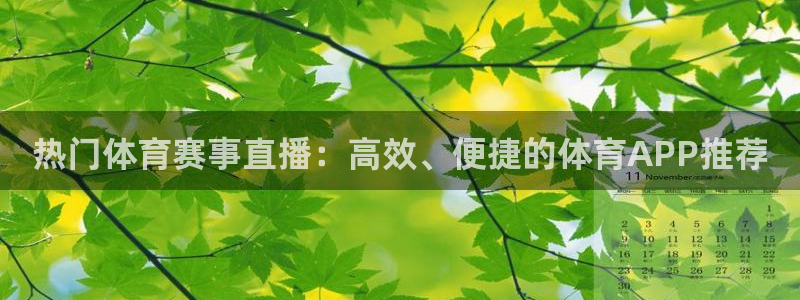 jrkan篮球直播：热门体育赛事直播：高效、便捷的体育APP推荐